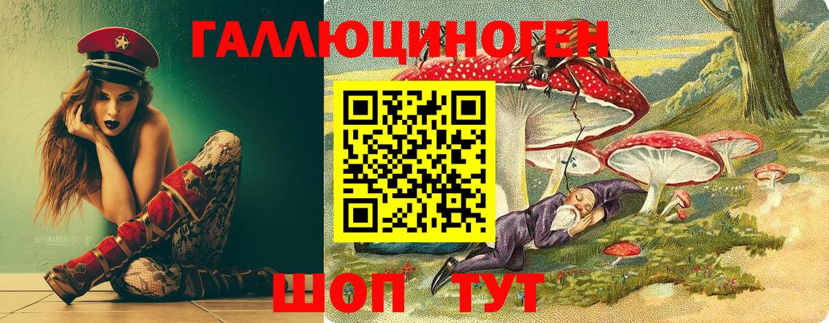Псилоцибиновые грибы Cubensis Красноуфимск
