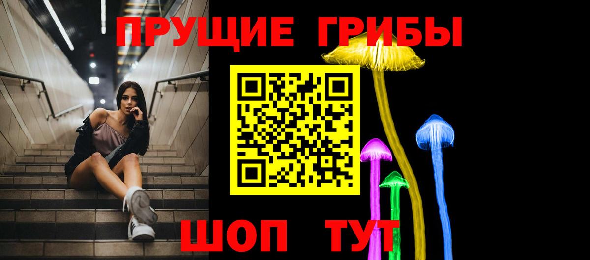 Красноуфимск  Псилоцибиновые грибы ЛСД  Вход с VPN  Галлюциногенные грибы мухоморы 
